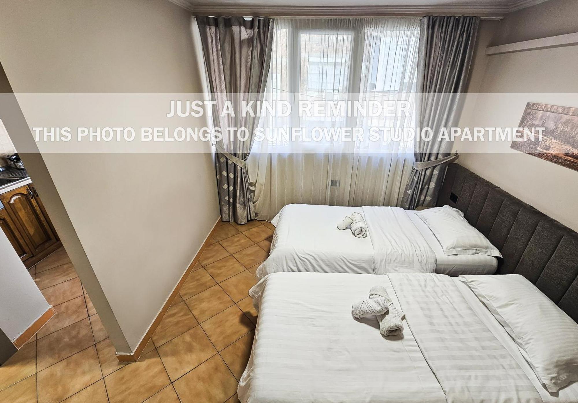 Sunflower Rooms Tirana Exteriér fotografie