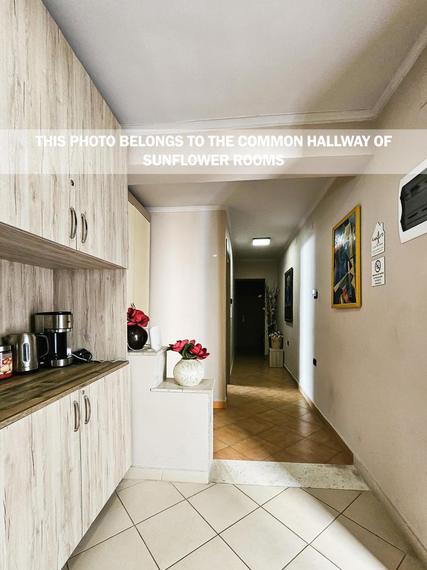 Sunflower Rooms Tirana Exteriér fotografie